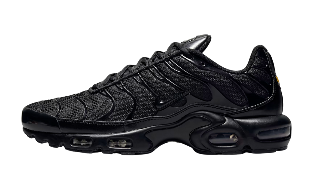 NIKE AIR MAX PLUS Triple Black