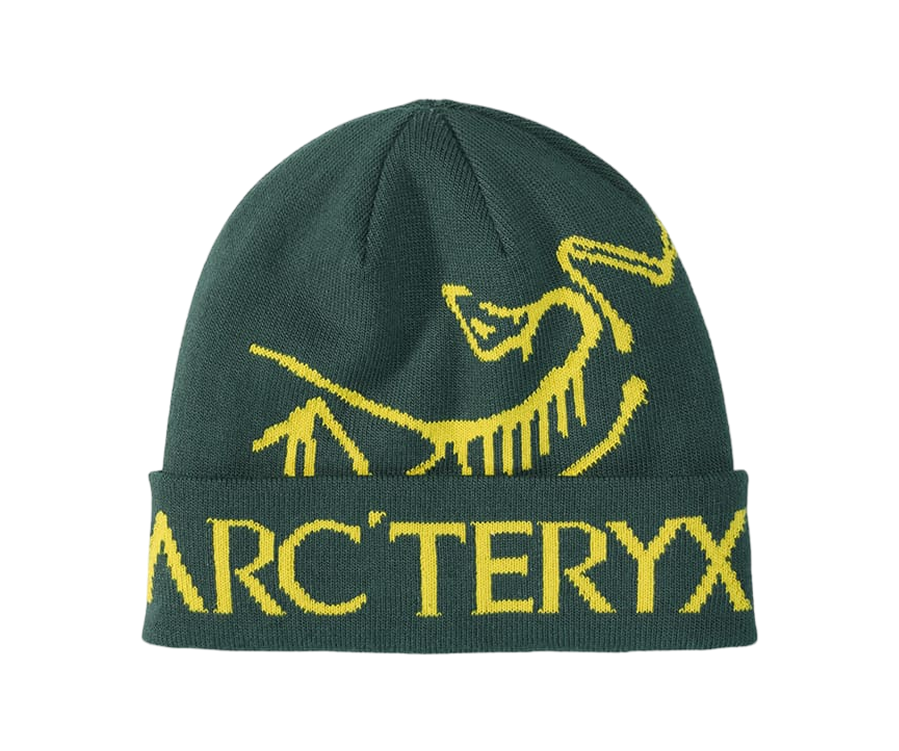Arc’teryx Bird Word Toque Verde