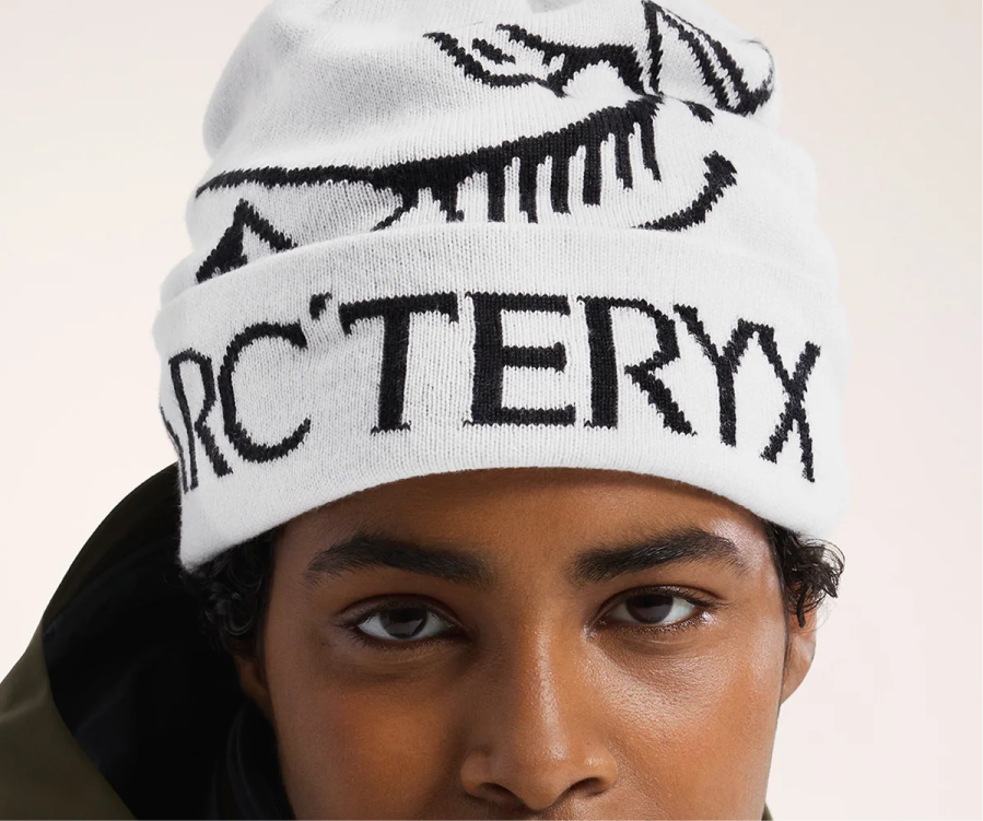 Arc’teryx Bird Word Toque Orca