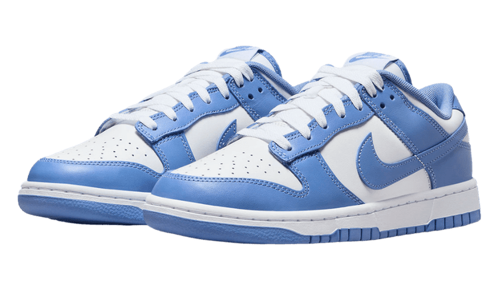 Nike Dunk Low Polar Blue