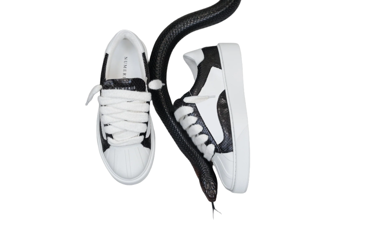 Numeris Eclipse Python Black