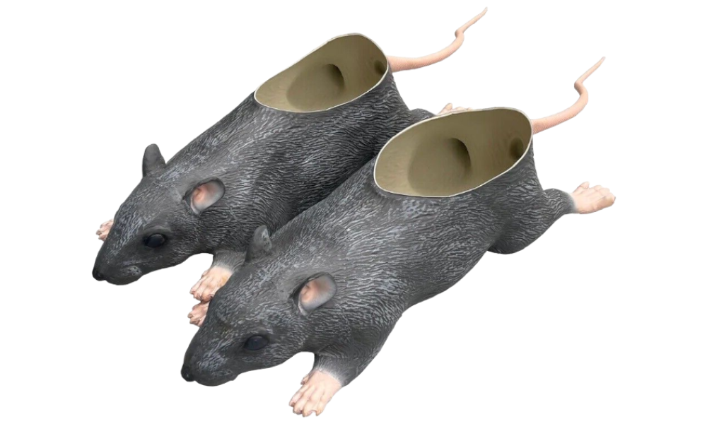 Imran Potato - Rat Slides