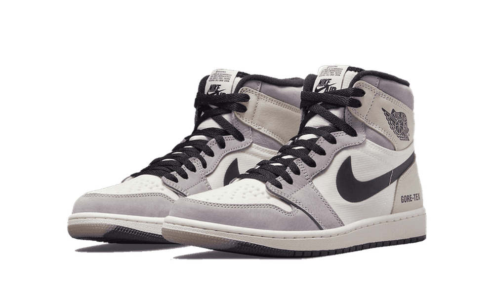 Air Jordan 1 High Element Gore-Tex Bone