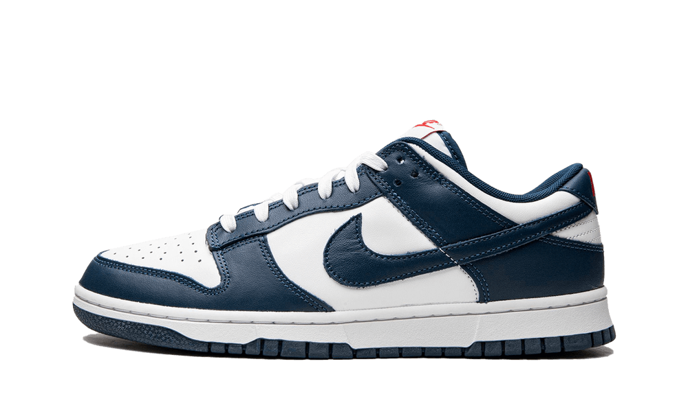 邦楽 NIKE DUNK LOW RETRO / Valerian blue Nike Dunk Low Valerian Blue