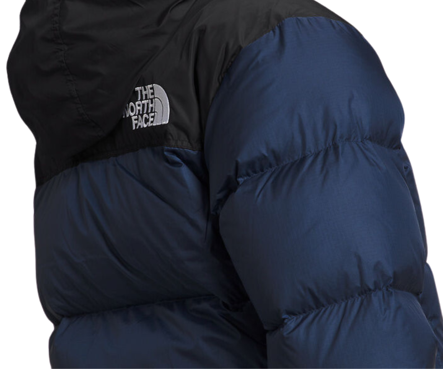 The North Face 1996 Retro Nuptse 700 Jacket Shady Blue