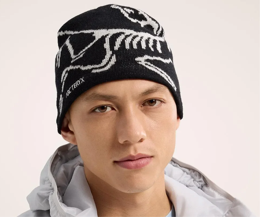 Arc’teryx Bird Head Toque Orca