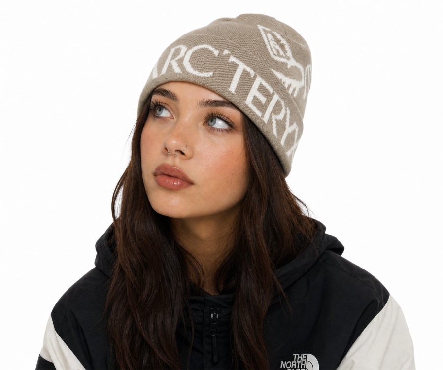 Arc’teryx Bird Word Toque Arctic Seal