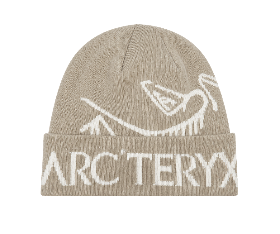 Arc’teryx Bird Word Toque Arctic Seal