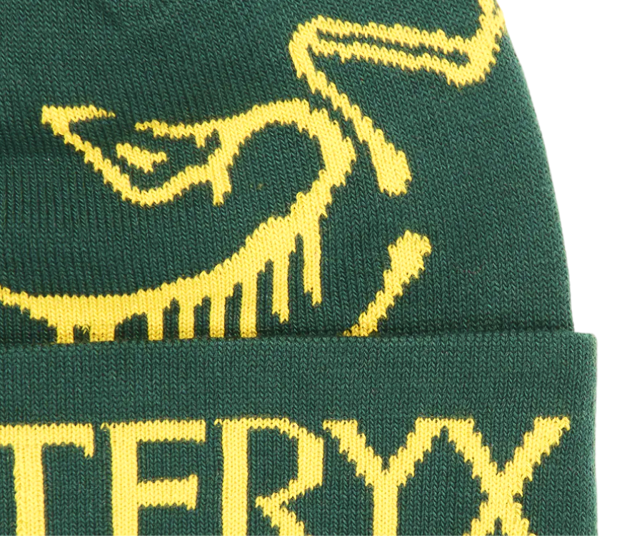 Arc’teryx Bird Word Toque Verde