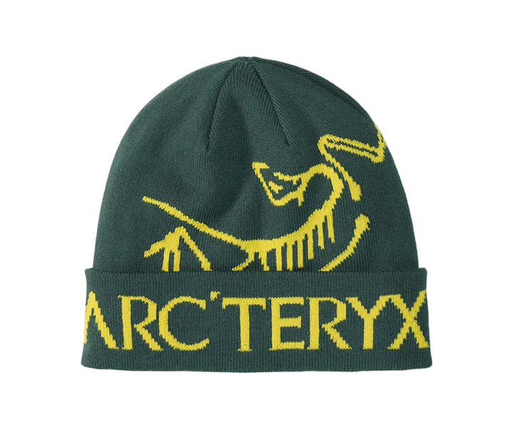 Arc’teryx Bird Word Toque Green