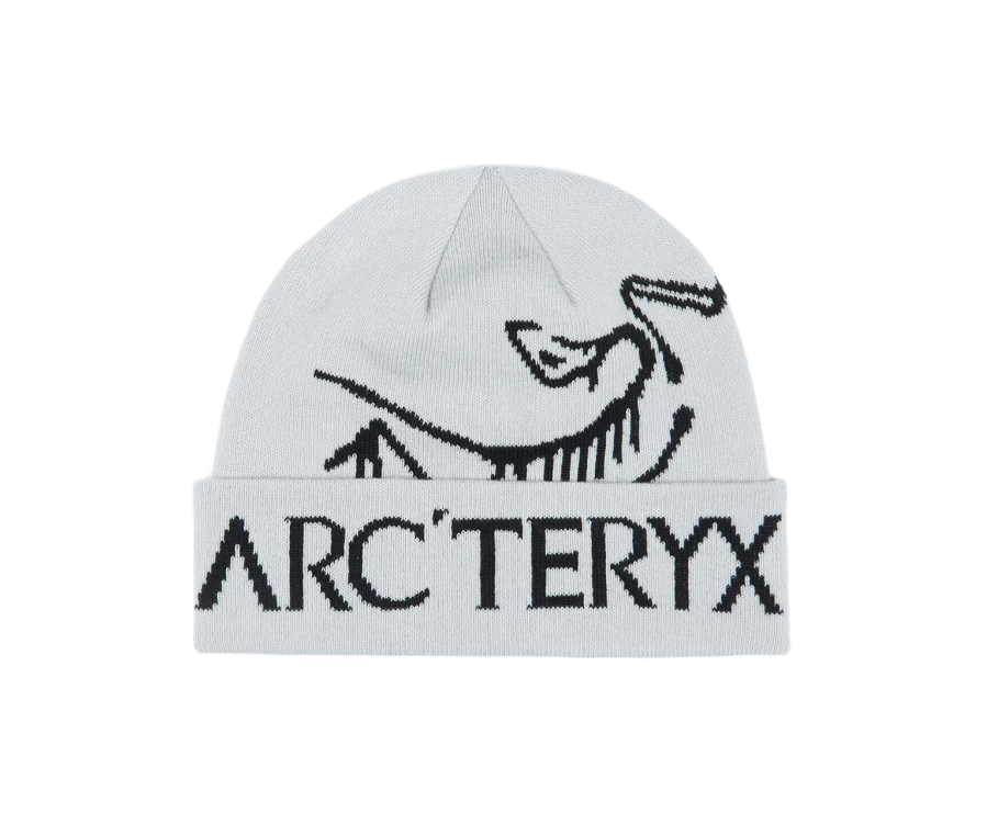 Arc’teryx Bird Word Toque Orca