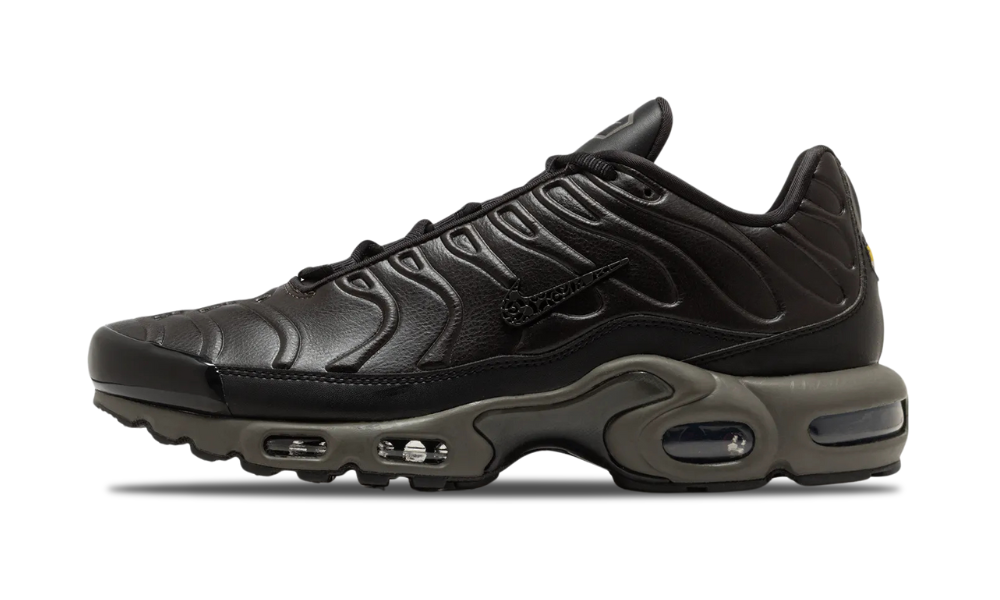 Nike Air Max Plus Premium Paris