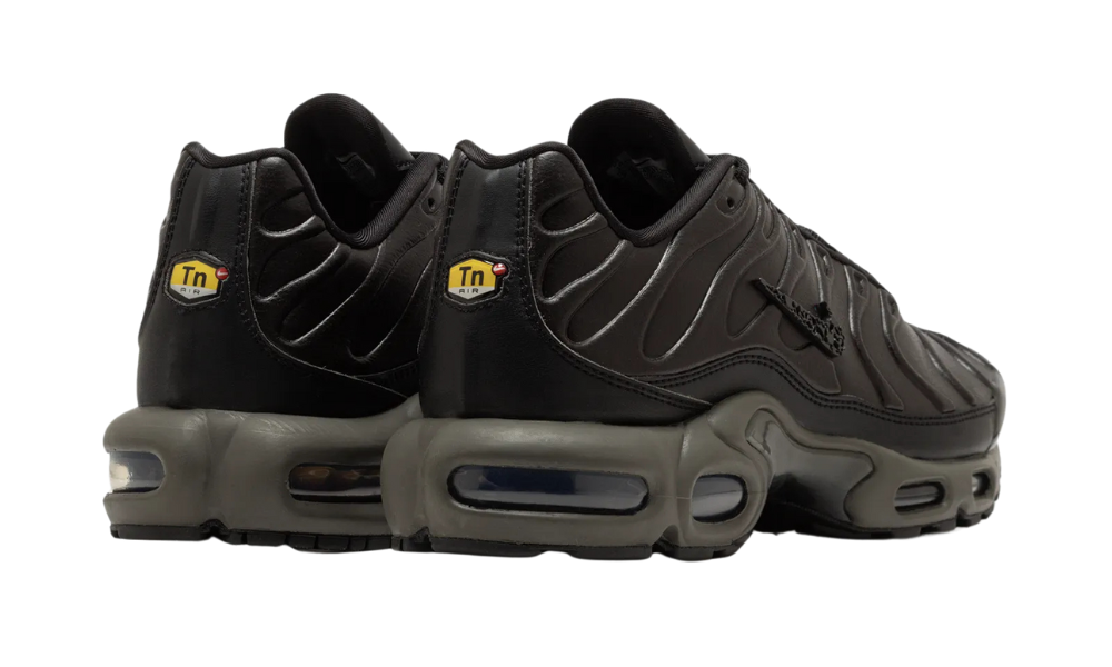 Nike Air Max Plus Premium Paris